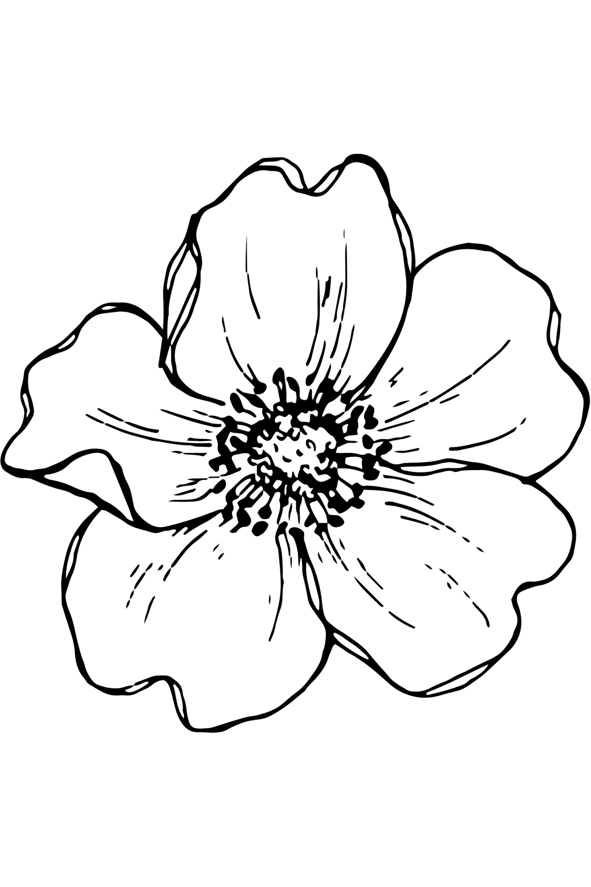 My First Coloring Book : Flowers